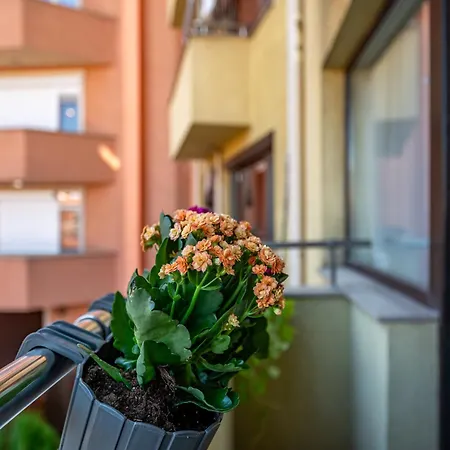 апартамен за гости панови Appartement