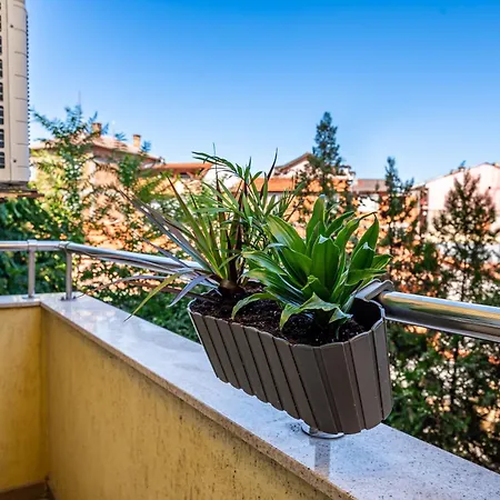 апартамен за гости панови