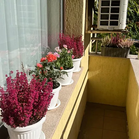 апартамен за гости панови Appartement Plovdiv