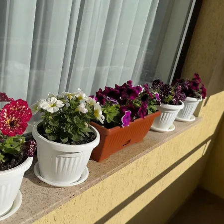 апартамен за гости панови Appartement *