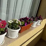 апартамен за гости панови Appartement *