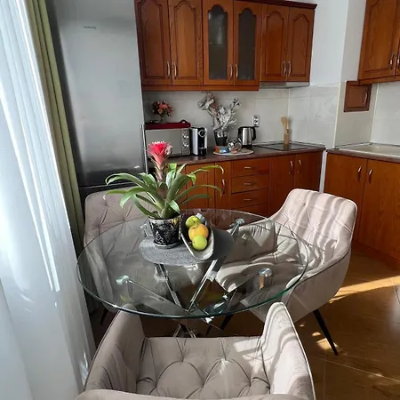 апартамен за гости панови