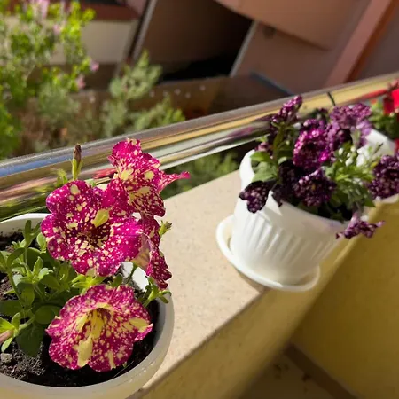 апартамен за гости панови * Φιλιππούπολη